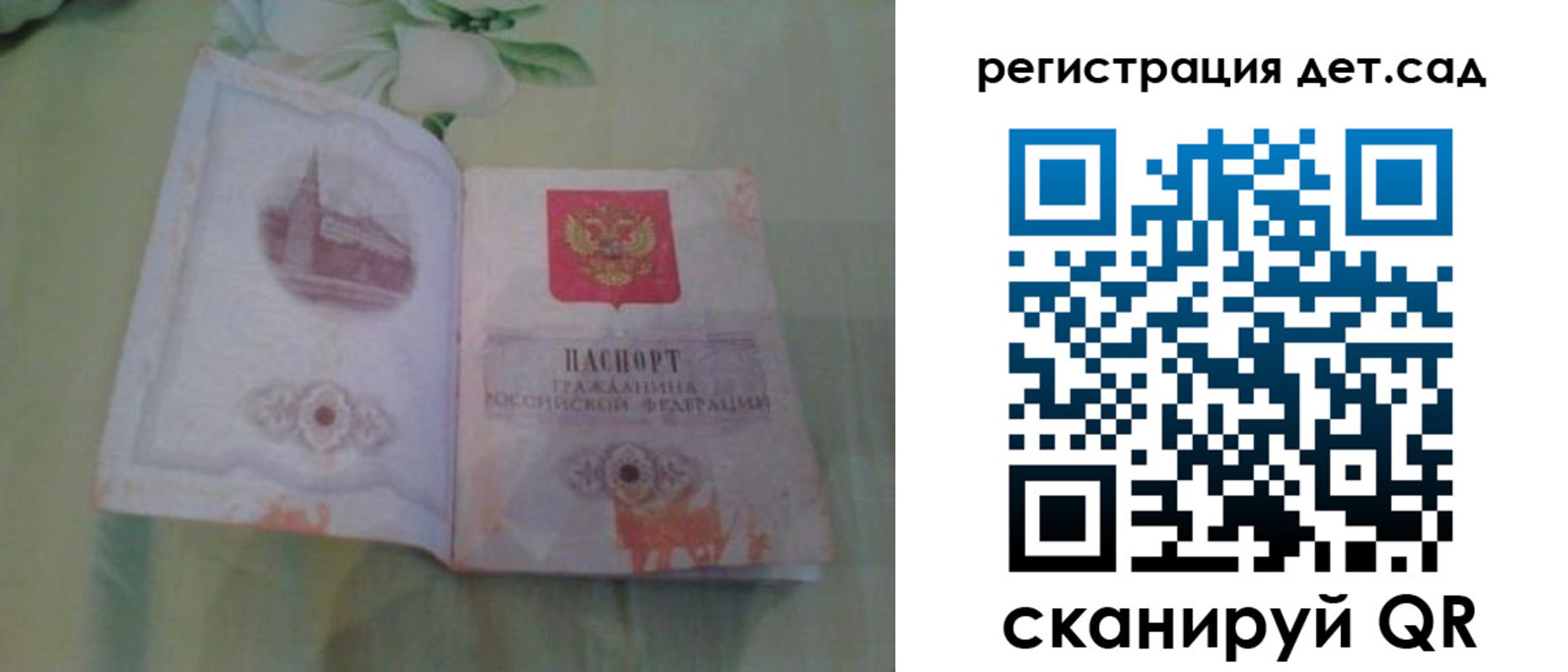 прописка гарантия в Сельцо